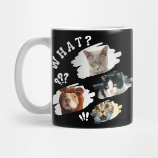 Funny pet faces Mug